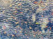 Pattern in Water - Leigh Hall