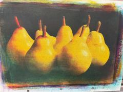 Pears - Lyn Arnold