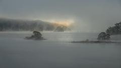 Peeping Through - Strat Mairs