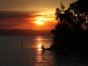 Pelicans at sunset - Jan Glover