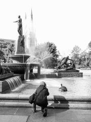 Photographer at Work - Graham Carroll