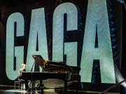 Pianist Gaga.jpg - Ray Seaver