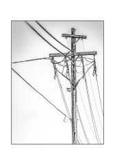 Poles-and-Wires.jpg - Ray Seaver