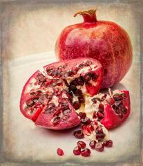 Pomegranate Study - Elaine Seaver