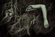 Poor-Manny-SM-November 800px - ... ...