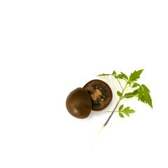 Portrait of a Tomato - Margaret Frankish