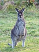 Posing for the camera - Judy Watman