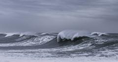 Power of the Sea - Margaret Frankish