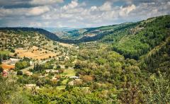 Ragusa Landscape - Elaine Seaver