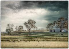 Rain Approaching - Steve Mullarkey