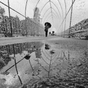 Rain walking - Carol Abbott