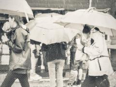 Raining - Heather Miles