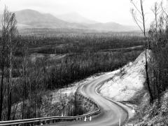 Ravaged by fire - Heather Miles