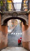 Red Scooter 2016 - ... ...
