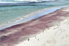 Red sand beach, Walpole - Maureen Rogers