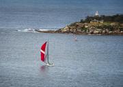 Red spinnaker - Judith Bennett