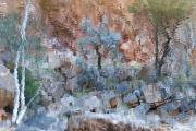 Reflected-Beauty-#1 - ... ...