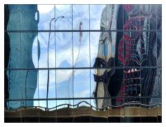 Reflected Chaos - Dawn Zandstra