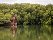 Reflection 3 - Judith Bennett