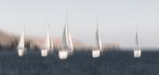 Regatta - ... ...
