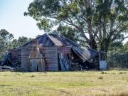 Renovator's Delight - Leigh Hall