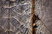 Ripples J Glover - ... ...