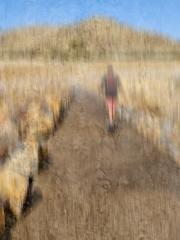 Road Ahead - Carol Abbott