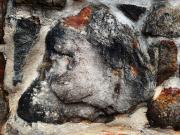 Rock Face - Margaret Frankish