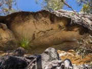 Rock cliff at Muogamarra - Heather Miles