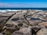 Rock platform Kurnell - Donald Gould