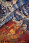 Rockpool Jan Glover - ... ...