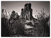 Rocks and grasses - Heather Miles