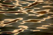 Ripples - Maureen Rogers