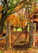 Rustic Gate C Barlow-gigapixel-hq-scale-2 00x - ... ...