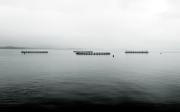 SM Fish Farm - ... ...