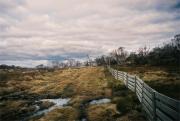 SM Smiggin Holes S Buchanan-gigapixel-hq-scale-2 00x - ... ...
