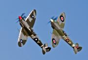 SPITFIRE DUET PF-gigapixel-hq-scale-2 00x - ... ...