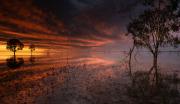 Menindee_Evening - Ivor Barnard