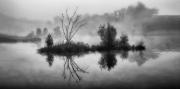 Wetland_Morning - Steve Mullarkey