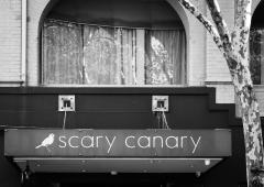 Scary Canary - Judy Warburton