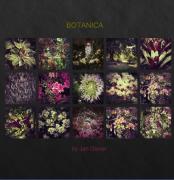 Botanica cover - Jan Glover