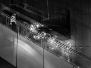 Sculpture Reflection - Xuan Nguyen