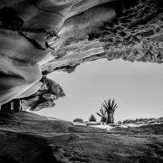 Scupltures 1 - Janice Gursanscky