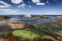 Seaside garden - Shane Clarkson