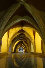 Seville crypt - Robyn Miller