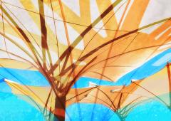 Shades of Summer - Judith Bennett