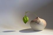 Shadow-circles - ... ...