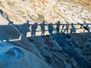 Shadows La Perouse - Donald Gould