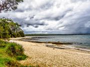 Shark Net Beach - Steve Mullarkey