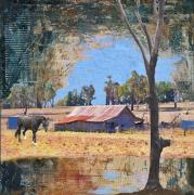 Shed Outback - Tim Collisbird